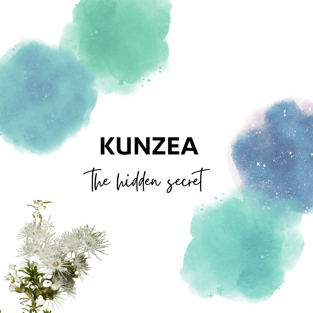 Kunzea ambigua the hidden secret
