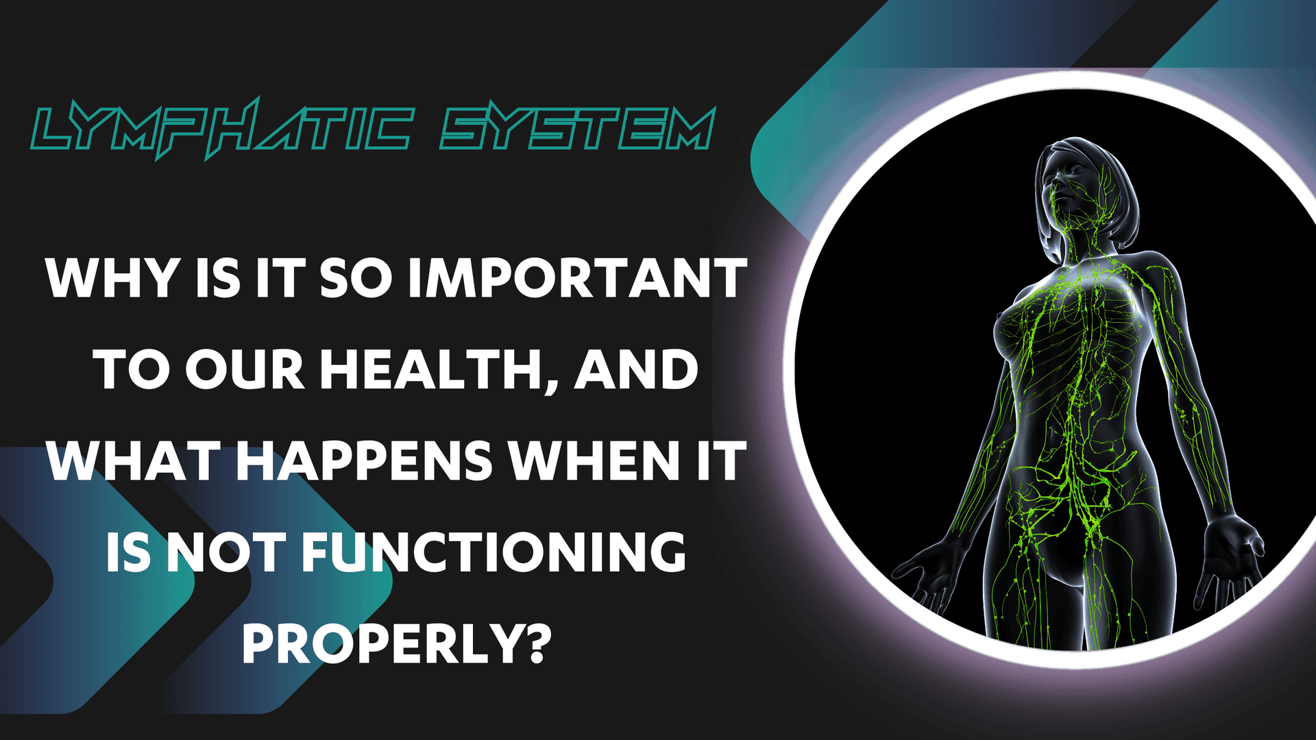 The Lymphatic System - the unsung hero! Why is it so important to our health, and what happens when it is not functioning properly? - Dr Kez Chirolab