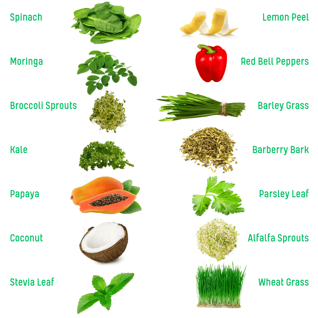 PlantEm NourishEm Greens Powder ingredients