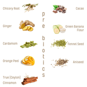 plantem Essentials prebiotics ingredients