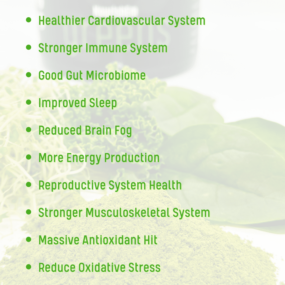 PlantEm NourishEm Greens Powder benefits