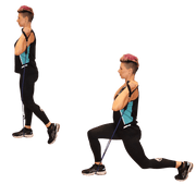 Resistance Bands Set Includes Bonus Loop Set - Dr Kez Chirolab
