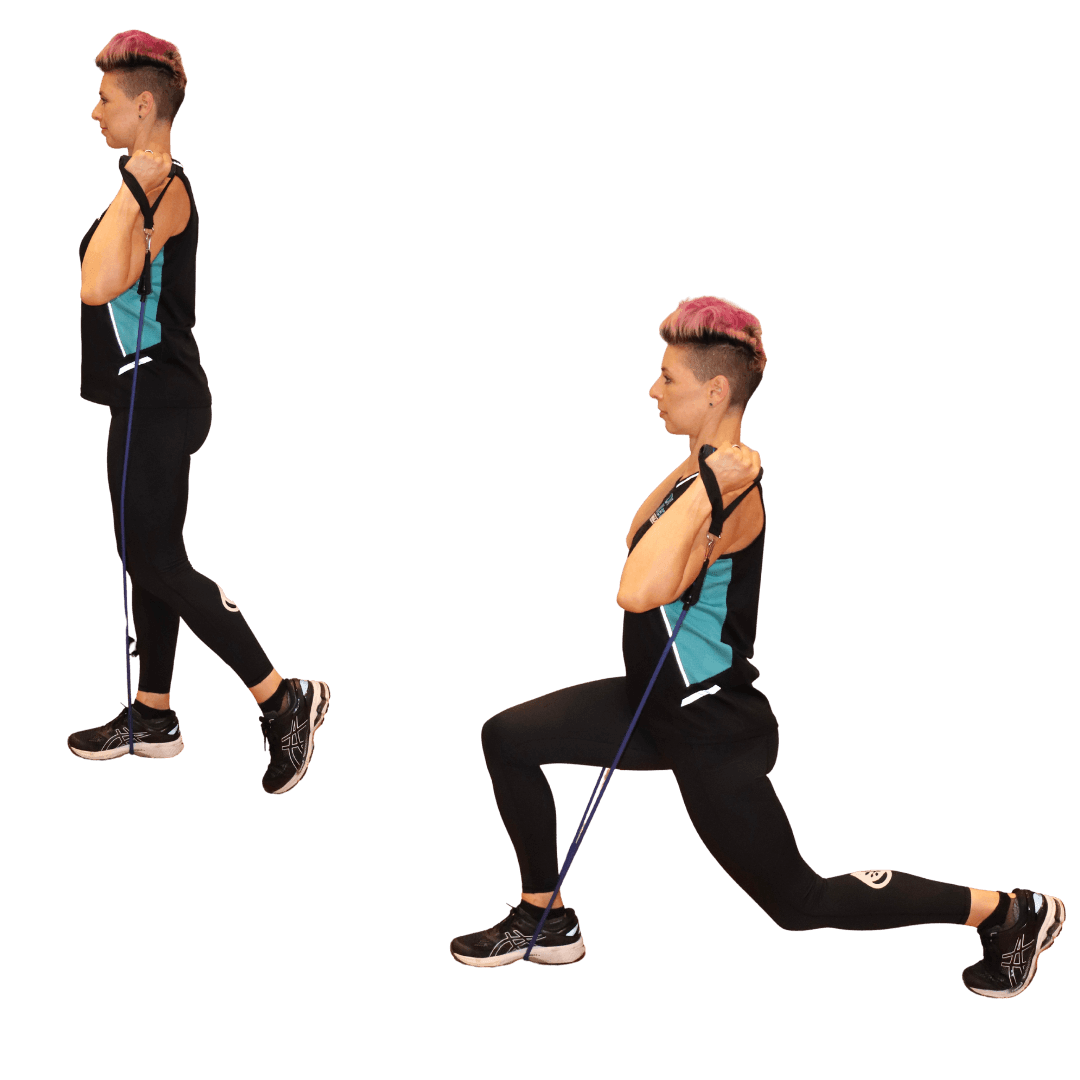 Resistance Bands Set Includes Bonus Loop Set - Dr Kez Chirolab