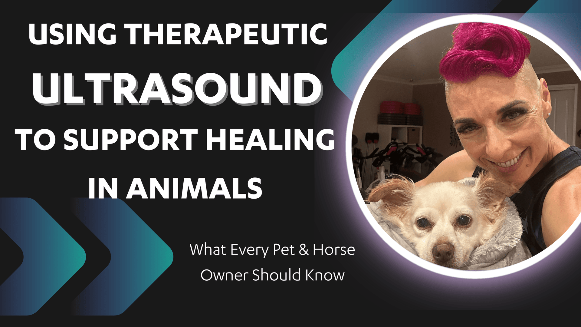 Dr Kez Chirolab Using Therapeutic Ultrasound to Support Healing in animals