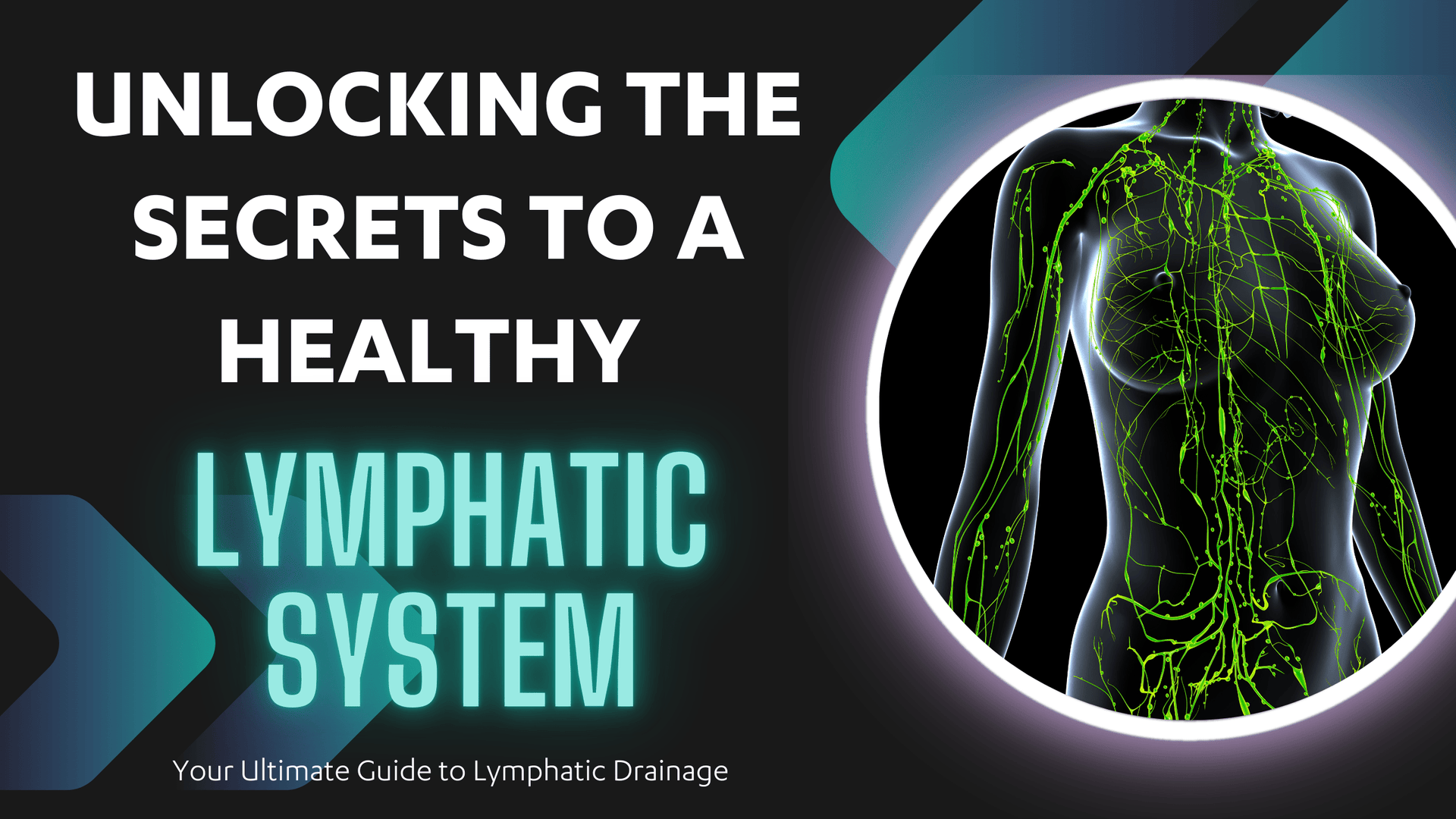 Dr Kez Chirolab Unlocking the secrets to a healthy lymphatic system