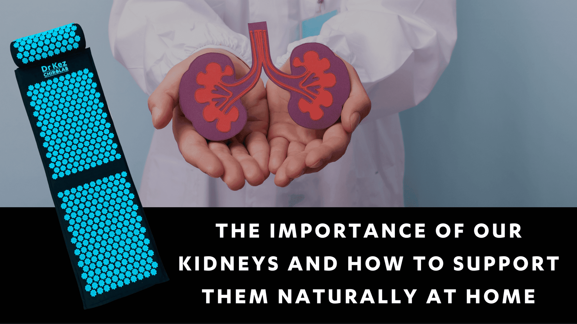 The Importance of our Kidneys and how to Support Them Naturally at Home - Dr Kez Chirolab 